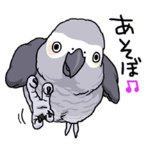 Fuku the Grey Parrot sticker #9542615