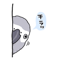 Fuku the Grey Parrot sticker #9542620