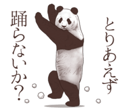 Strange pose Panda sticker #9542625