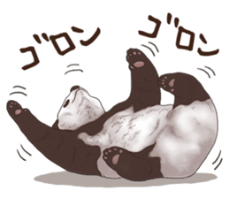 Strange pose Panda sticker #9542628