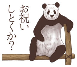 Strange pose Panda sticker #9542630