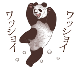 Strange pose Panda sticker #9542631