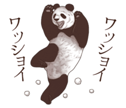 Strange pose Panda sticker #9542631