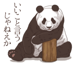 Strange pose Panda sticker #9542633
