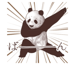 Strange pose Panda sticker #9542635