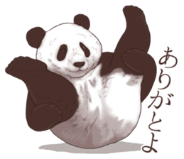 Strange pose Panda sticker #9542636