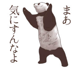 Strange pose Panda sticker #9542639