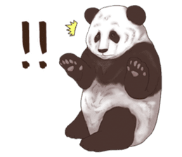 Strange pose Panda sticker #9542640