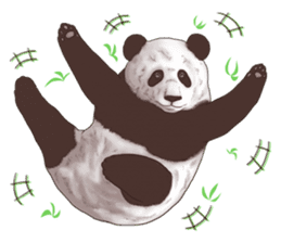 Strange pose Panda sticker #9542642