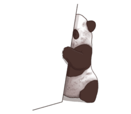 Strange pose Panda sticker #9542643