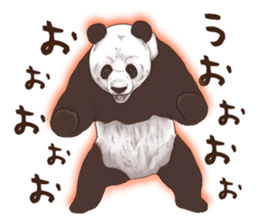 Strange pose Panda sticker #9542645