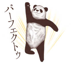 Strange pose Panda sticker #9542647