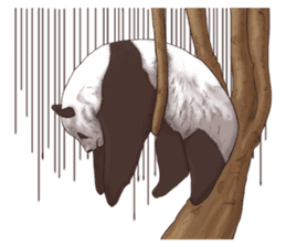 Strange pose Panda sticker #9542648