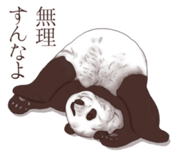 Strange pose Panda sticker #9542649