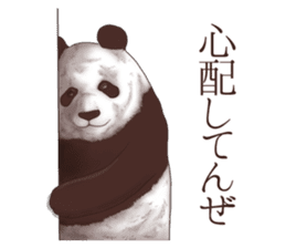 Strange pose Panda sticker #9542650