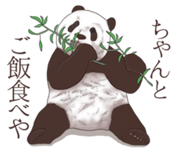 Strange pose Panda sticker #9542651