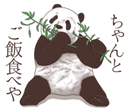 Strange pose Panda sticker #9542651
