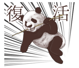 Strange pose Panda sticker #9542652