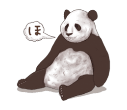 Strange pose Panda sticker #9542653