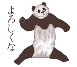 Strange pose Panda sticker #9542654