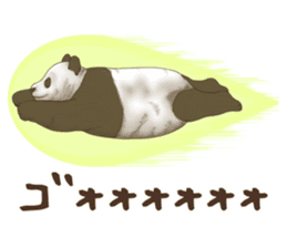 Strange pose Panda sticker #9542659