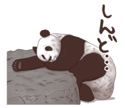 Strange pose Panda sticker #9542660