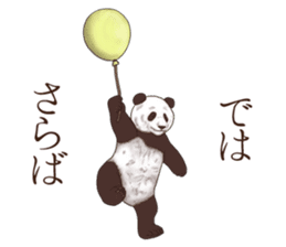 Strange pose Panda sticker #9542663