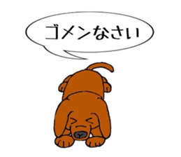 chicononitijo sticker #9544117