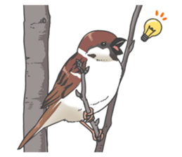 Small birds sticker! sticker #9545146