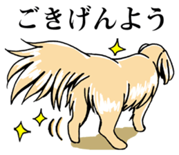 Young lady of the dog.It's Japanese. sticker #9548582