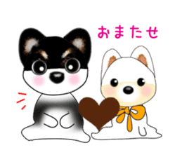 PON.de.Pomeranian3 sticker #9549915