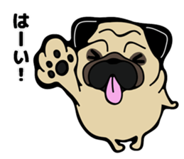 Pug is Lovely dog 2 sticker #9550910