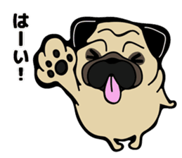 Pug is Lovely dog 2 sticker #9550910