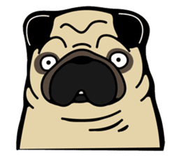 Pug is Lovely dog 2 sticker #9550917