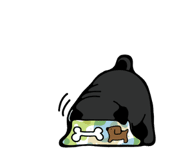 Pug is Lovely dog 2 sticker #9550921