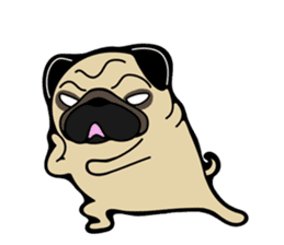 Pug is Lovely dog 2 sticker #9550926