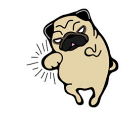 Pug is Lovely dog 2 sticker #9550927