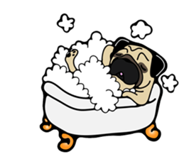 Pug is Lovely dog 2 sticker #9550933