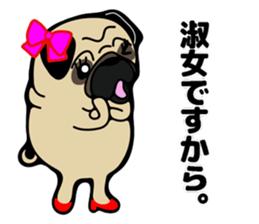 Pug is Lovely dog 2 sticker #9550937