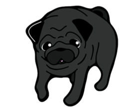 Pug is Lovely dog 2 sticker #9550942