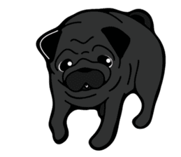Pug is Lovely dog 2 sticker #9550942