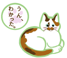 Mollycoddle's cat sticker #9552119