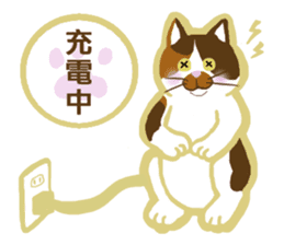 Mollycoddle's cat sticker #9552143