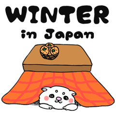 Japanese cat in winter