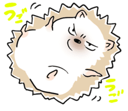 tsundere Hedgehog sticker #9556184
