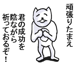 He is very crazy cat. sticker #9556448