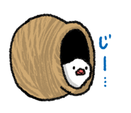 Java sparrow 's Sticker 3 sticker #9556705