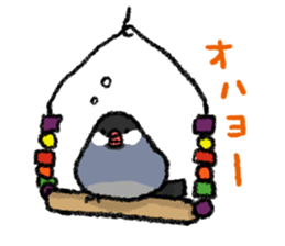 Java sparrow 's Sticker 3 sticker #9556709