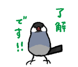Java sparrow 's Sticker 3 sticker #9556710