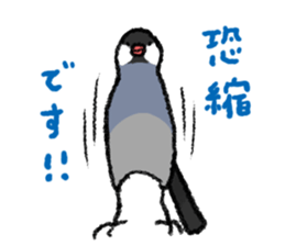 Java sparrow 's Sticker 3 sticker #9556711